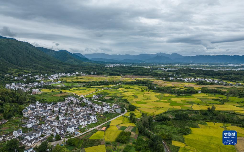 必发365手机登录易继